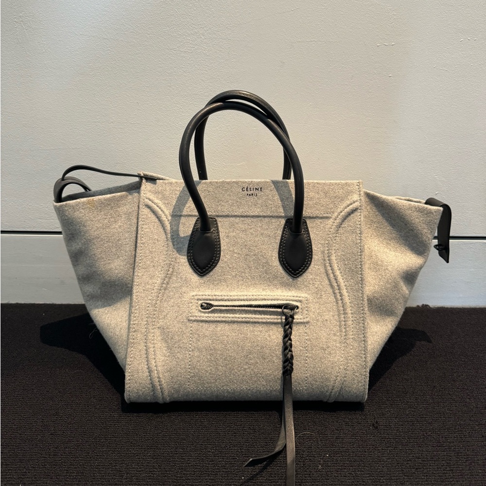 Celine Luggage Bag in Felt